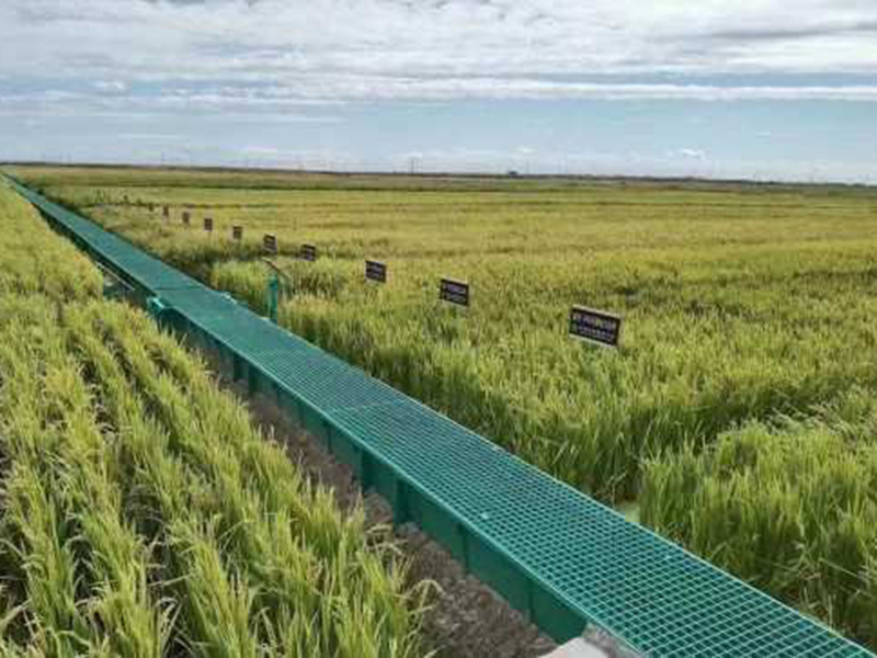 农田灌溉水渠玻璃钢格栅板